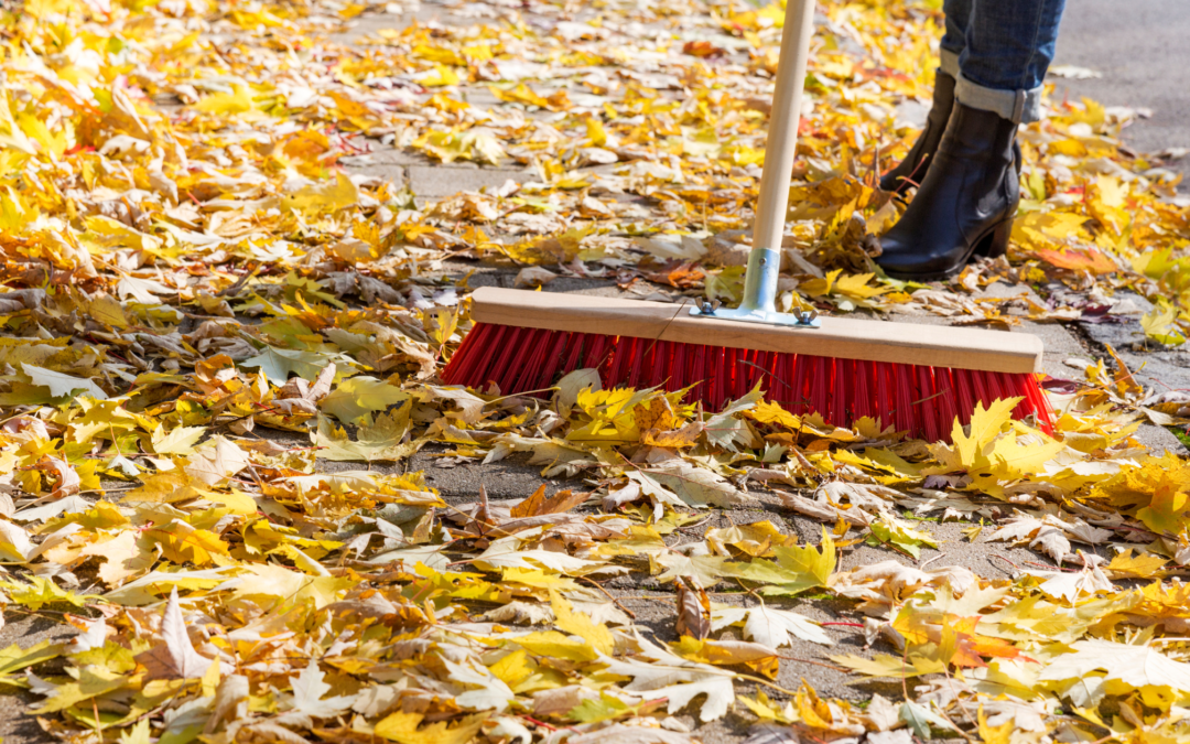 pavement with leaves being swept