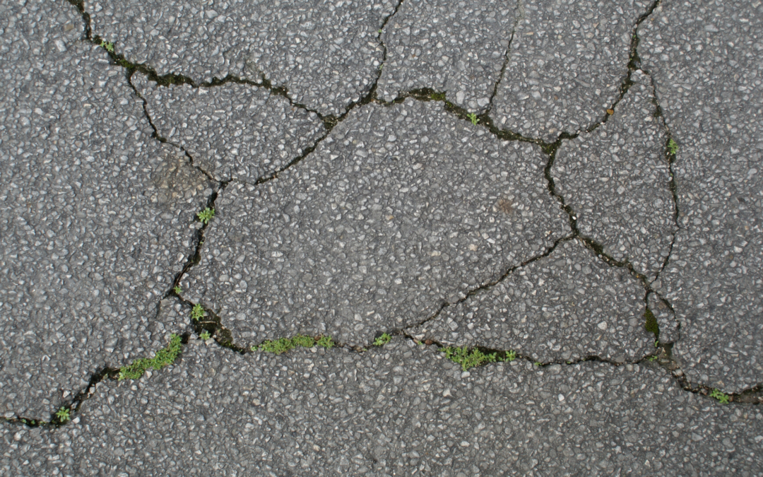 cracked pavement